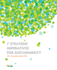2009  Sustainability Report