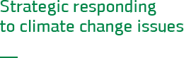 Strategic responding to climate change issues